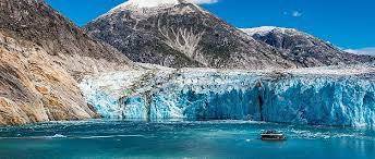 Endicott Arm & Dawes Glacier Limanı