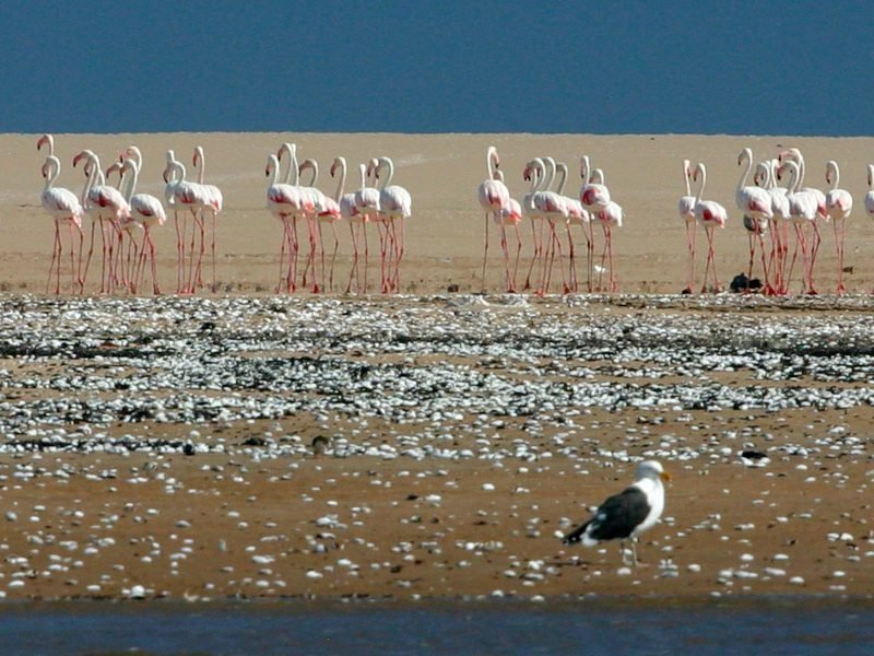 Walvis Bay - Namibya Limanı