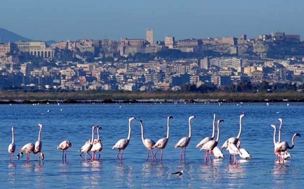 Cagliari - Sardunya Limanı