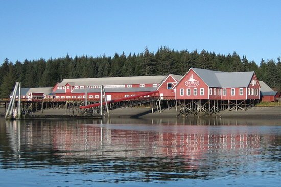 Icy Strait Point - Alaska Limanı