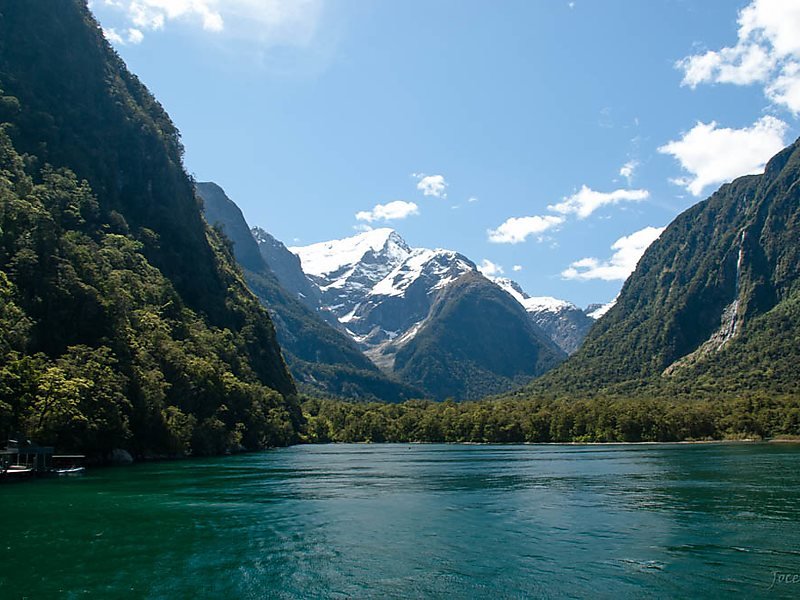 Milford Sound Limanı